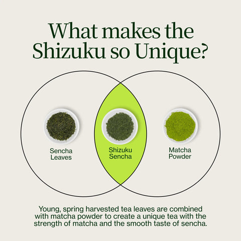 Sencha Shizuku met Matchapoeder