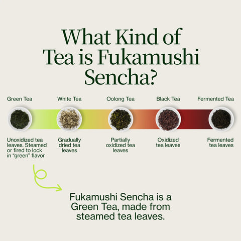 Thé vert Sencha Okumidori