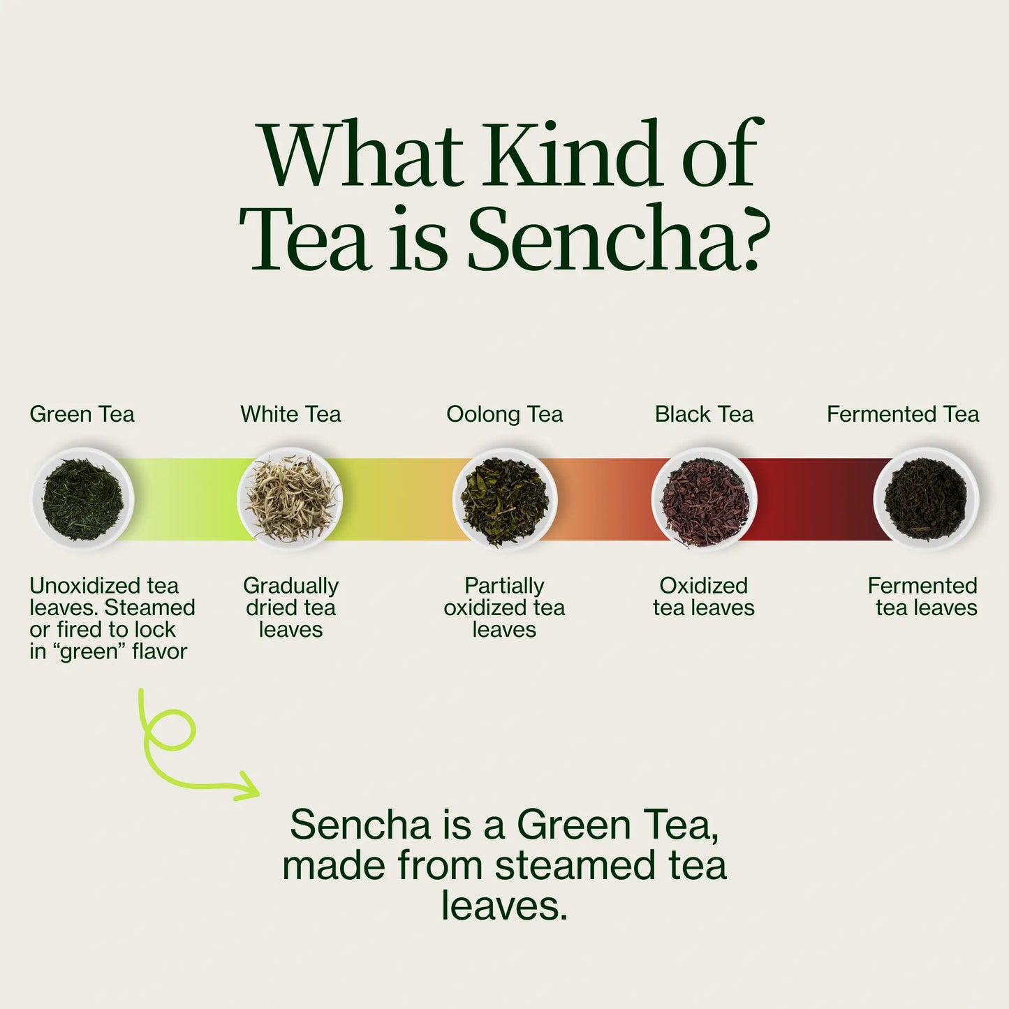 Sencha Henta Kirishima-thee