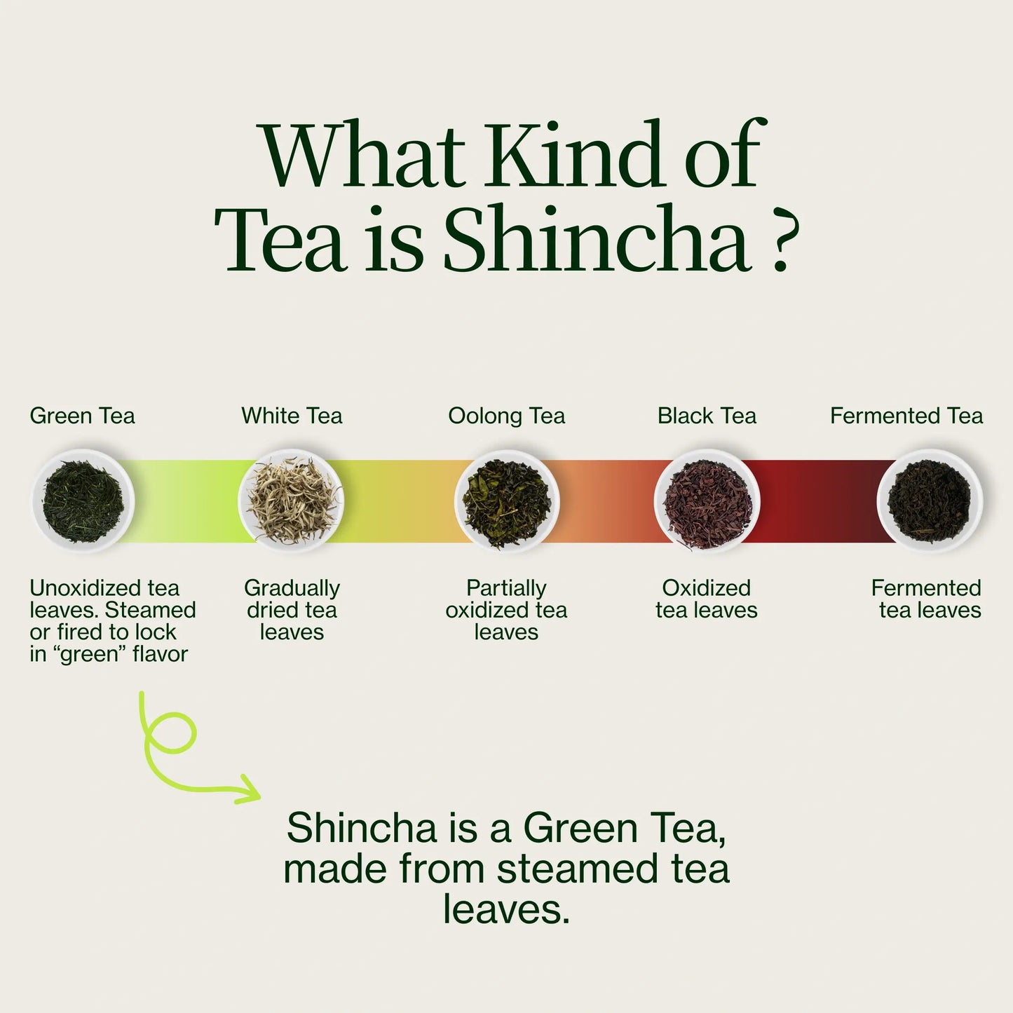 Shincha Tanegashima Kuritawase